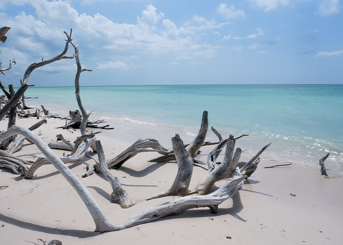 Photographie d'une plage de Cuba Cayo Jutías